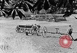 Image of Hitler Youth Poland, 1940, second 9 stock footage video 65675043401