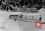 Image of Hitler Youth Poland, 1940, second 10 stock footage video 65675043401