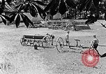 Image of Hitler Youth Poland, 1940, second 11 stock footage video 65675043401