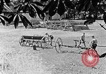 Image of Hitler Youth Poland, 1940, second 12 stock footage video 65675043401