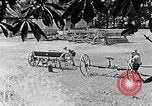 Image of Hitler Youth Poland, 1940, second 13 stock footage video 65675043401