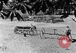 Image of Hitler Youth Poland, 1940, second 15 stock footage video 65675043401