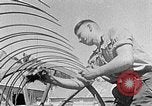 Image of Hitler Youth Poland, 1940, second 28 stock footage video 65675043401