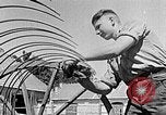 Image of Hitler Youth Poland, 1940, second 32 stock footage video 65675043401