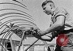 Image of Hitler Youth Poland, 1940, second 34 stock footage video 65675043401