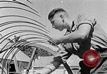 Image of Hitler Youth Poland, 1940, second 35 stock footage video 65675043401