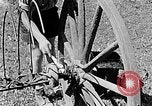 Image of Hitler Youth Poland, 1940, second 42 stock footage video 65675043401