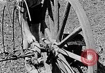 Image of Hitler Youth Poland, 1940, second 44 stock footage video 65675043401