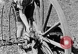 Image of Hitler Youth Poland, 1940, second 46 stock footage video 65675043401