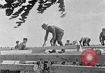 Image of Hitler Youth Poland, 1940, second 54 stock footage video 65675043401