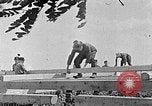 Image of Hitler Youth Poland, 1940, second 56 stock footage video 65675043401