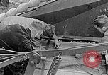 Image of Hitler Youth Poland, 1940, second 57 stock footage video 65675043401
