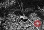 Standbild Aggressoren Truppen Vieques Island Puerto Rico, 1950, aus Sekunde 45 historischem Filmmaterial Videoclip 65675043404