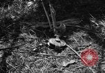 Standbild Aggressoren Truppen Vieques Island Puerto Rico, 1950, aus Sekunde 47 historischem Filmmaterial Videoclip 65675043404
