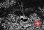 Standbild Aggressoren Truppen Vieques Island Puerto Rico, 1950, aus Sekunde 48 historischem Filmmaterial Videoclip 65675043404