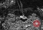 Standbild Aggressoren Truppen Vieques Island Puerto Rico, 1950, aus Sekunde 49 historischem Filmmaterial Videoclip 65675043404