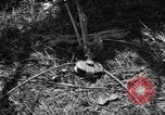 Standbild Aggressoren Truppen Vieques Island Puerto Rico, 1950, aus Sekunde 50 historischem Filmmaterial Videoclip 65675043404