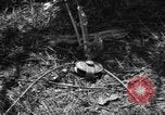 Standbild Aggressoren Truppen Vieques Island Puerto Rico, 1950, aus Sekunde 51 historischem Filmmaterial Videoclip 65675043404
