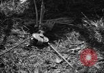 Standbild Aggressoren Truppen Vieques Island Puerto Rico, 1950, aus Sekunde 54 historischem Filmmaterial Videoclip 65675043404