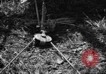 Standbild Aggressoren Truppen Vieques Island Puerto Rico, 1950, aus Sekunde 57 historischem Filmmaterial Videoclip 65675043404