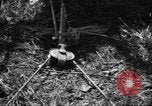 Standbild Aggressoren Truppen Vieques Island Puerto Rico, 1950, aus Sekunde 58 historischem Filmmaterial Videoclip 65675043404