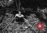 Standbild Aggressoren Truppen Vieques Island Puerto Rico, 1950, aus Sekunde 60 historischem Filmmaterial Videoclip 65675043404