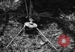Standbild Aggressoren Truppen Vieques Island Puerto Rico, 1950, aus Sekunde 61 historischem Filmmaterial Videoclip 65675043404