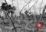 Standbild Aggressoren Truppen Vieques Island Puerto Rico, 1950, aus Sekunde 21 historischem Filmmaterial Videoclip 65675043405