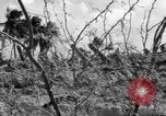 Standbild Aggressoren Truppen Vieques Island Puerto Rico, 1950, aus Sekunde 22 historischem Filmmaterial Videoclip 65675043405
