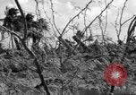 Standbild Aggressoren Truppen Vieques Island Puerto Rico, 1950, aus Sekunde 24 historischem Filmmaterial Videoclip 65675043405