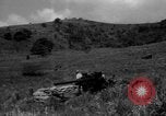 Image of Aggressors troops Vieques Island Puerto Rico, 1950, second 14 stock footage video 65675043406