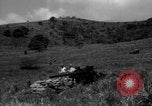 Image of Aggressors troops Vieques Island Puerto Rico, 1950, second 16 stock footage video 65675043406