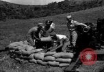 Image of Aggressors troops Vieques Island Puerto Rico, 1950, second 31 stock footage video 65675043406