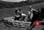 Image of Aggressors troops Vieques Island Puerto Rico, 1950, second 37 stock footage video 65675043406