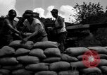 Image of Aggressors troops Vieques Island Puerto Rico, 1950, second 43 stock footage video 65675043406