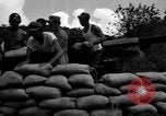 Image of Aggressors troops Vieques Island Puerto Rico, 1950, second 44 stock footage video 65675043406