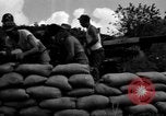 Image of Aggressors troops Vieques Island Puerto Rico, 1950, second 47 stock footage video 65675043406
