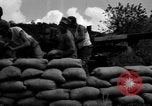 Image of Aggressors troops Vieques Island Puerto Rico, 1950, second 48 stock footage video 65675043406