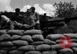 Image of Aggressors troops Vieques Island Puerto Rico, 1950, second 50 stock footage video 65675043406