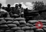 Image of Aggressors troops Vieques Island Puerto Rico, 1950, second 51 stock footage video 65675043406
