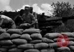 Image of Aggressors troops Vieques Island Puerto Rico, 1950, second 52 stock footage video 65675043406