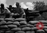 Image of Aggressors troops Vieques Island Puerto Rico, 1950, second 53 stock footage video 65675043406