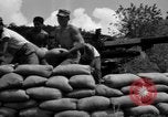 Image of Aggressors troops Vieques Island Puerto Rico, 1950, second 54 stock footage video 65675043406