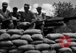 Image of Aggressors troops Vieques Island Puerto Rico, 1950, second 55 stock footage video 65675043406