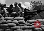 Image of Aggressors troops Vieques Island Puerto Rico, 1950, second 56 stock footage video 65675043406
