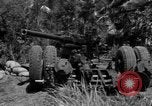 Image of Aggressors troops Vieques Island Puerto Rico, 1950, second 60 stock footage video 65675043406