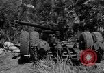 Image of Aggressors troops Vieques Island Puerto Rico, 1950, second 61 stock footage video 65675043406