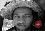 Image of Nationalist sympathizers rounded up San Juan Puerto Rico, 1950, second 54 stock footage video 65675043411