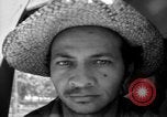 Image of Nationalist sympathizers rounded up San Juan Puerto Rico, 1950, second 55 stock footage video 65675043411