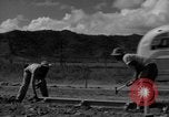 Image of Houses under construction San Juan Puerto Rico, 1950, second 36 stock footage video 65675043419